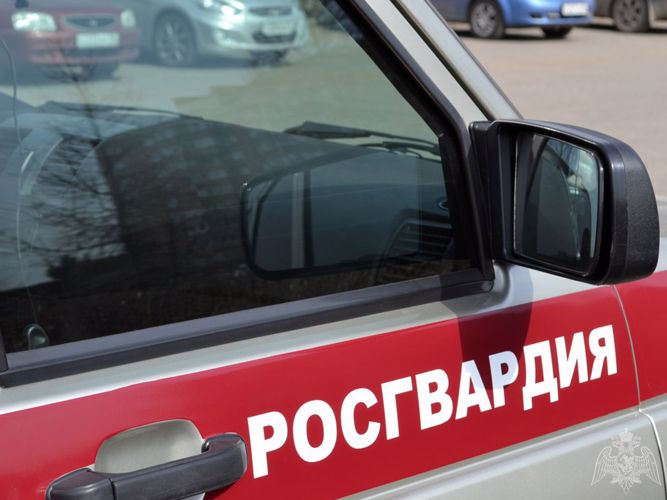 В Тамбовской области росгвардейцы пресекли автоугон 