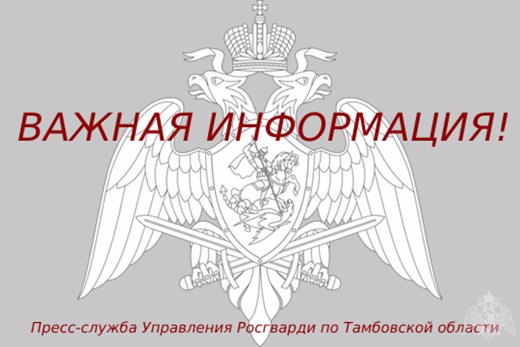 В период с 12 по 30 июля на автодорогах запланировано движение воинских колонн