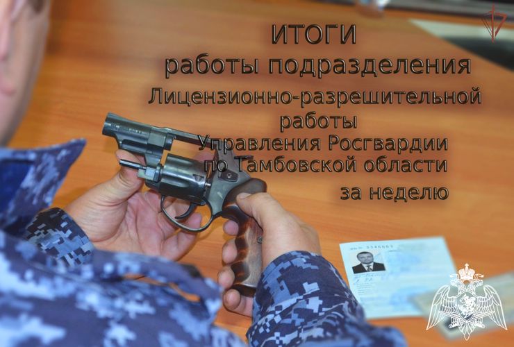 В Тамбовской области росгвардейцы проверили более 170 владельцев оружия