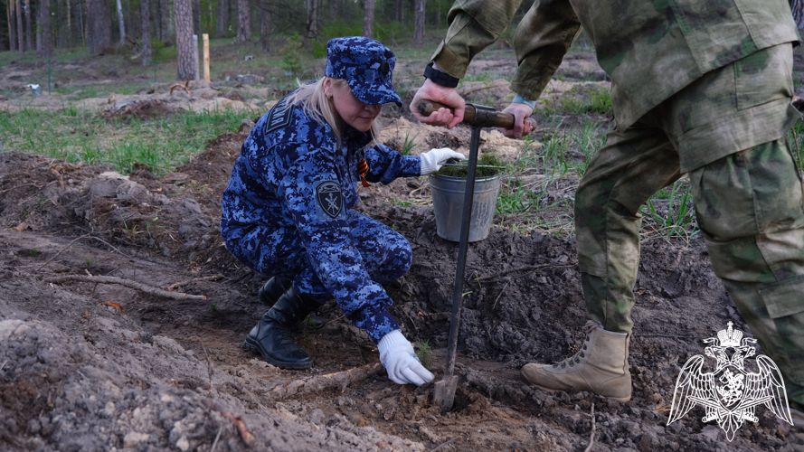 Тамбовские росгвардейцы присоединились к международной акции «Сад памяти»
