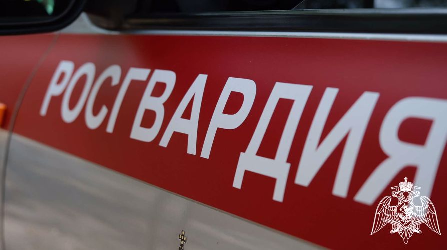 Росгвардейцы за неделю пресекли более 20 административных правонарушений в Тамбовской области