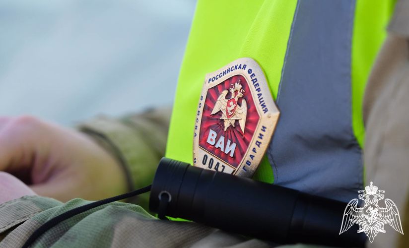Автоинспекторы Росгвардии провели профилактическое мероприятие с водителями ведомства в Тамбове 