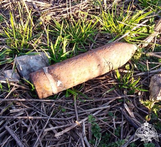 Росгвардейцы обезвредили снаряд Великой Отечественной войны в Тамбовской области