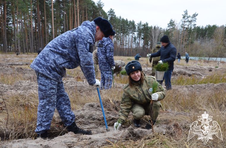 Росгвардейцы присоединились к Всероссийской акции по восстановлению лесов в Тамбовской области