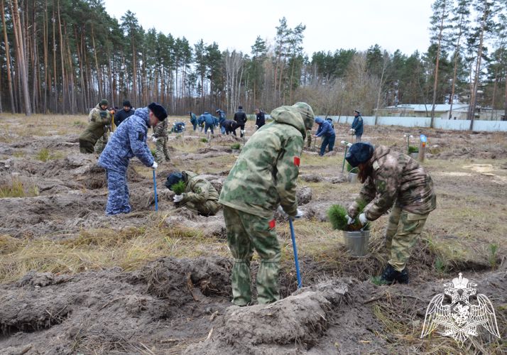 Росгвардейцы присоединились к Всероссийской акции по восстановлению лесов в Тамбовской области