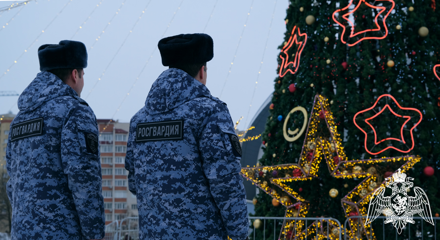 Росгвардейцы приняли участие в обеспечении общественной безопасности и правопорядка в новогоднюю ночь в Тамбовской области