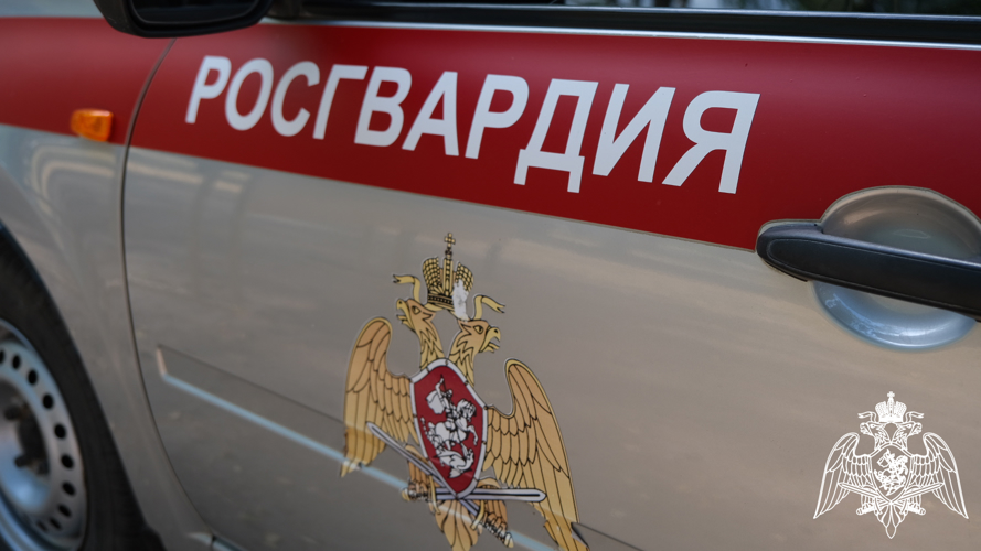 Росгвардейцы в новогодние праздники около 200 раз выезжали по сигналам «тревога» в Тамбовской области