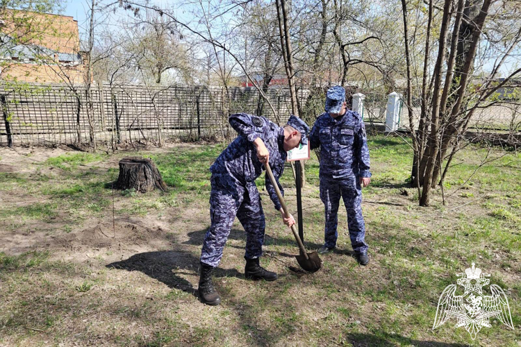 Сотрудники Росгвардии приняли участие в международной акции «Сад памяти» в Котовске