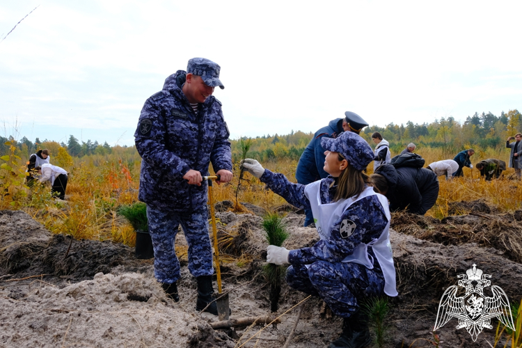 Росгвардейцы приняли участие во Всероссийской акции по восстановлению лесов в Тамбовской области