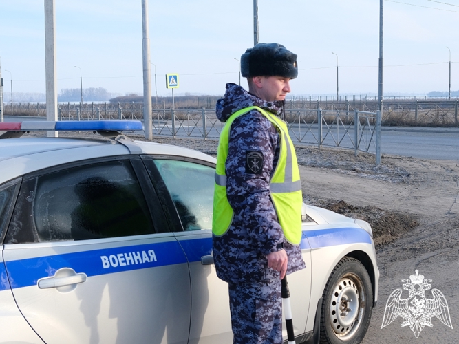 Автоинспекторы Росгвардии провели совместно с коллегами из ГИБДД профилактическое мероприятие с водителями ведомства в Тамбове