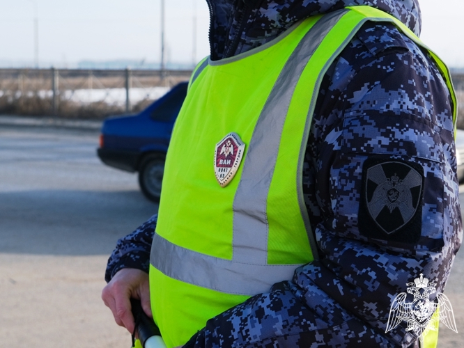 Автоинспекторы Росгвардии провели совместно с коллегами из ГИБДД профилактическое мероприятие с водителями ведомства в Тамбове