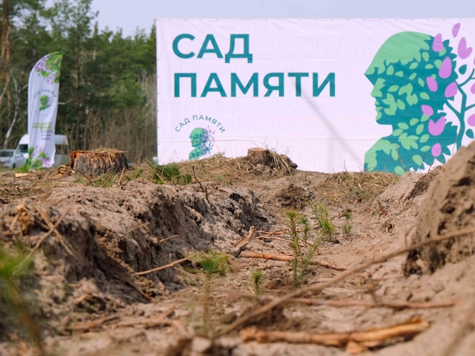 Росгвардейцы посадили молодые деревья в Тамбовской области в рамках международной акции «Сад памяти»
