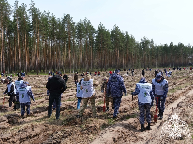 Росгвардейцы посадили молодые деревья в Тамбовской области в рамках международной акции «Сад памяти»
