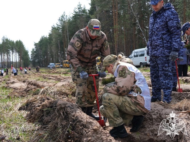 Росгвардейцы посадили молодые деревья в Тамбовской области в рамках международной акции «Сад памяти»