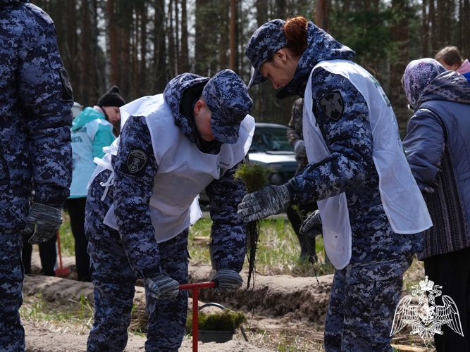 Росгвардейцы посадили молодые деревья в Тамбовской области в рамках международной акции «Сад памяти»