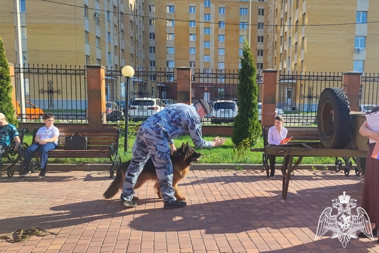 Росгвардейцы приняли участие в праздничном мероприятии, посвященном Дню Победы в Тамбове