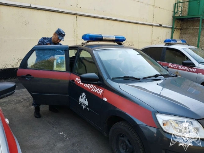 Сотрудники Росгвардии присоединились ко Всероссийской акции «Бессмертный автополк» в Тамбовской области