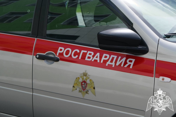 Росгвардейцы около 80 раз выезжали по сигналу «тревога» за неделю в Тамбовской области