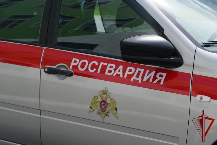 Экипаж Росгвардии задержал подозреваемого в краже товаров из магазина в Мичуринске