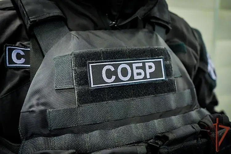 В Тамбове при содействии СОБР Росгвардии проведены обыски по делам о мошенничестве с бюджетными средствами в особо крупном размере (видео)
